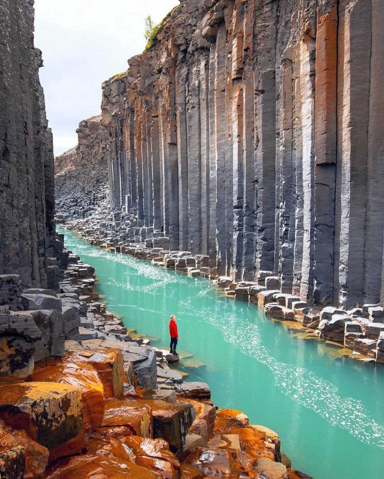 SÁU THỨ VÀ CĂN TỰ GIẢI THOÁT - ĐƯỜNG BAY KIM XÍ ĐIỂU – TSHOGDRUG RANGDROL
