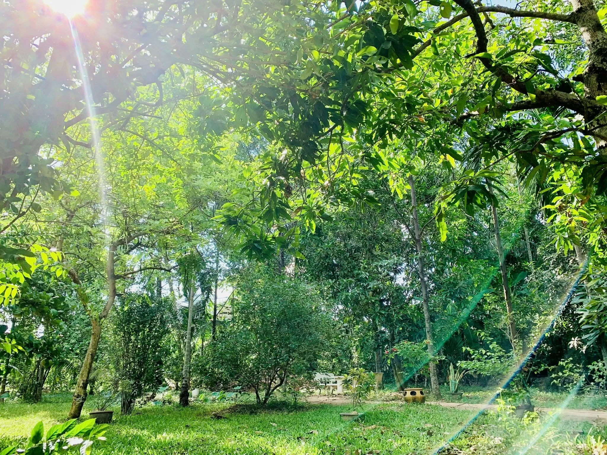 NỀN TẢNG TƯ TƯỞNG CỦA - NGUYỄN THẾ ĐĂNG - (NÓI CHUYỆN VỚI GEMINI)