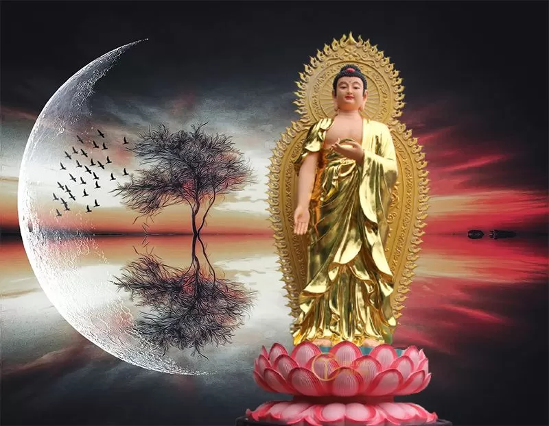 Tấm Gương Kim Cương của Tỉnh Giác - ĐẠI TOÀN THIỆN TỰ NHIÊN - NYOSHUL KHENPO RINPOCHE - Thiền Tây Tạng và những Bài Ca Kim Cương
