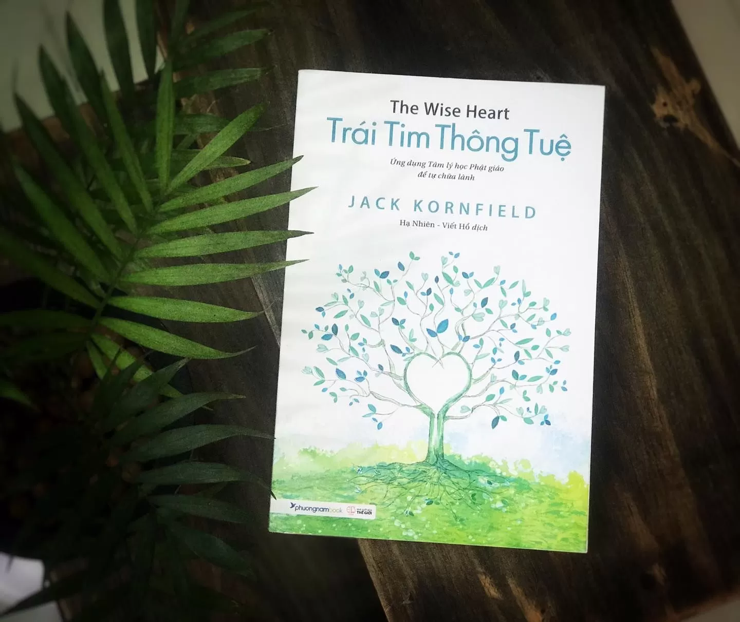 TÂM TRÍ KỂ CHUYỆN - JACK KORNFIELD - TRÁI TIM THÔNG TUỆ