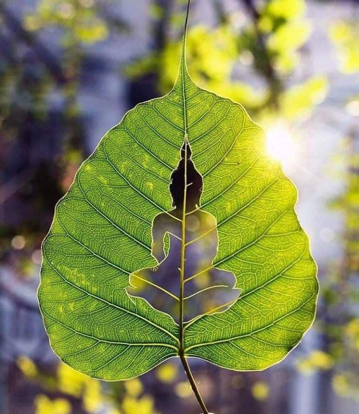 NGƯỜI HÓA THUYẾT PHÁP CHO NGƯỜI HÓA DO MÌNH BIẾN RA - Nguyễn Thế Đăng