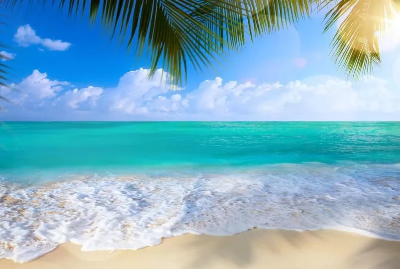 KEN WILBER - VỀ THÂN PHẬN CON NGƯỜI VÀ HÀNH TRÌNH TIẾN HÓA CỦA THỨC (NHỮNG TRÍCH ĐOẠN) - Trích từ: The Simple Feeling of Being, tác giả: Ken Wilber, Từ Hoá Hoàng Lan dịch Việt, @2026.