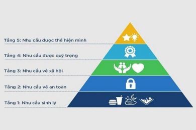 THÁP NHU CẦU - TIM TAMASHIRO - TRIẾT LÝ IKIGAI - HẠNH PHÚC VÀ MỤC ĐÍCH SỐNG CỦA NGƯỜI NHẬT