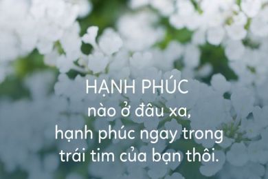 TÌM KIẾM SỰ HÀI LÒNG THAY VÌ HẠNH PHÚC - SHIRATORI HARUHIKO