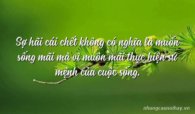 SỰ THÔNG THÁI LÀ ÁNH SÁNG TÂM LINH - RUDOLF STEINER