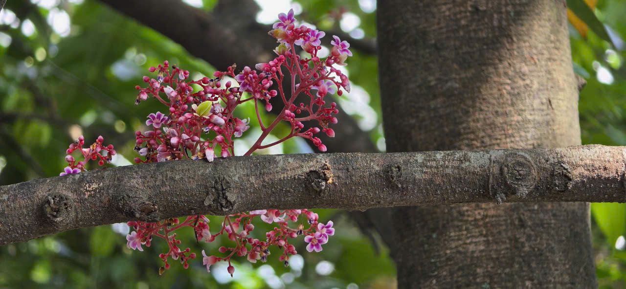 CON NGƯỜI XÃ HỘI - CON NGƯỜI TÂM LINH: TỪ THIẾU NIÊN ĐẾN TUỔI GIÀ - Nguyễn Thế Đăng CON NGƯỜI XÃ HỘI - CON NGƯỜI TÂM LINH: TỪ THIẾU NIÊN ĐẾN TUỔI GIÀ - Nguyễn Thế Đăng
