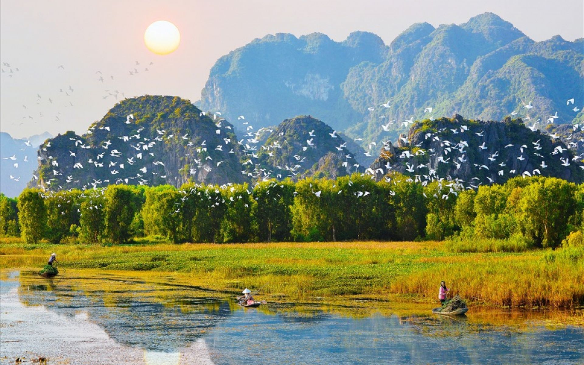TÌNH QUÊ SUỐT BUỔI VUI KHÔNG DỨT - NGUYỄN THẾ ĐĂNG
