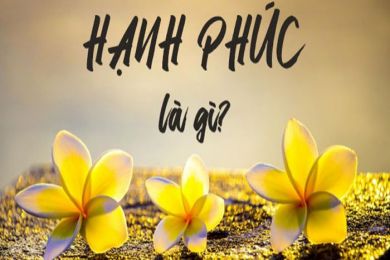 XÃ HỘI HỌC VỀ HẠNH PHÚC - MATTHIEU RICARD - BÀN VỀ HẠNH PHÚC