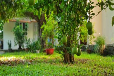 ĐỨC PHẬT KHUYÊN CHÚNG TA NÊN CÓ MỘT THÁI ĐỘ TÔN TRỌNG VÀ BẤT BẠO ĐỘNG - KINH DOANH VÀ ĐỨC PHẬT THỊNH ĐẠT BẰNG THIỆN NGHIỆP -LLOYD FIELD