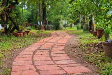 CẢM XÚC THEO SAU HÀNH VI - TRÍCH: GIÀ QUÁ SỚM, KHÔNG QUÁ MUỘN – GORDON LIVINGSTON