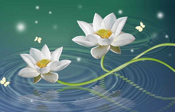 BA THÀNH PHẦN GIÚP ĐƯA ĐẾN NIẾT-BÀN