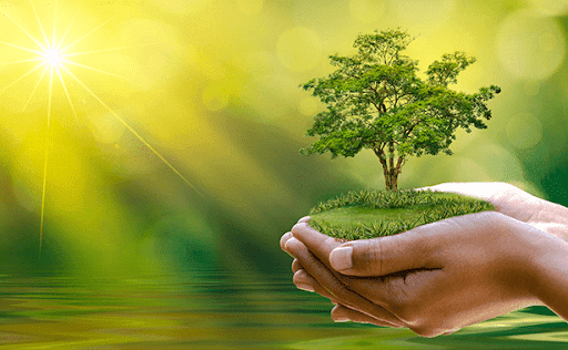 MỖI NGÀY LÀ MỘT NGÀY MỚI