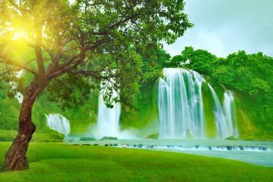 HÃY LÀM SỐNG DẬY HY VỌNG VÀ ƯỚC MƠ TRONG BẠN - DAVID NIVEN, Ph.D. - BÍ QUYẾT CỦA THÀNH CÔNG