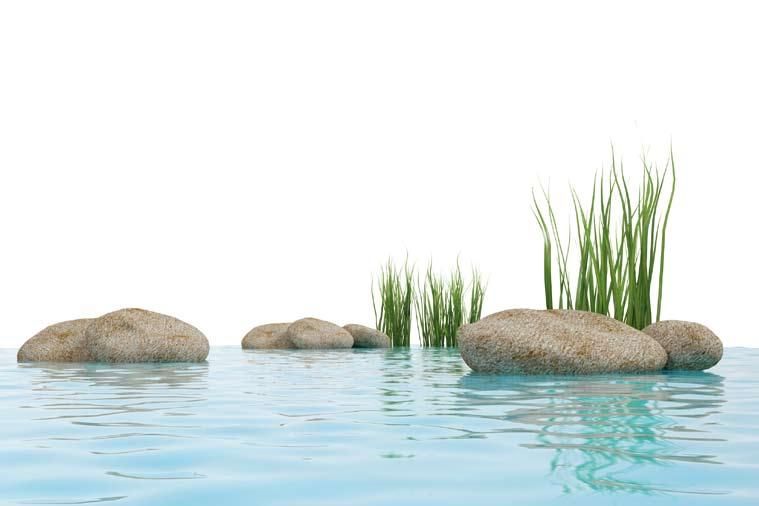 KHẾ HỢP TƯƠNG ĐỐI VÀ TUYỆT ĐỐI