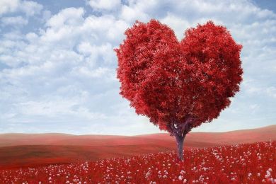 THỰC HÀNH YÊU ĐƯƠNG - ERICH FROMM - PHÂN TÂM HỌC VỀ TÌNH YÊU