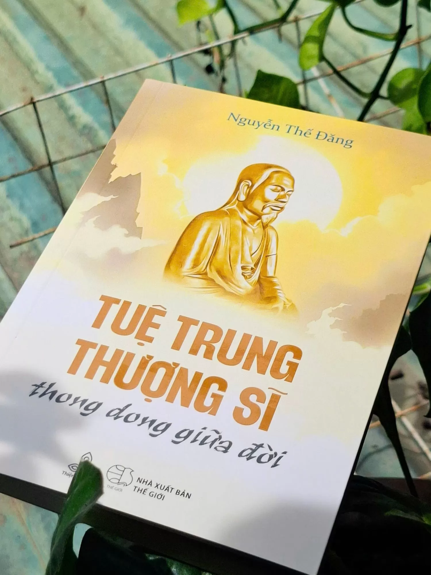 VŨ TRỤ LÀ THIỀN ĐỊNH, THIỀN ĐỊNH LÀ VŨ TRỤ - TUỆ TRUNG THƯỢNG SĨ THONG DONG GIỮA ĐỜI - NGUYỄN THẾ ĐĂNG
